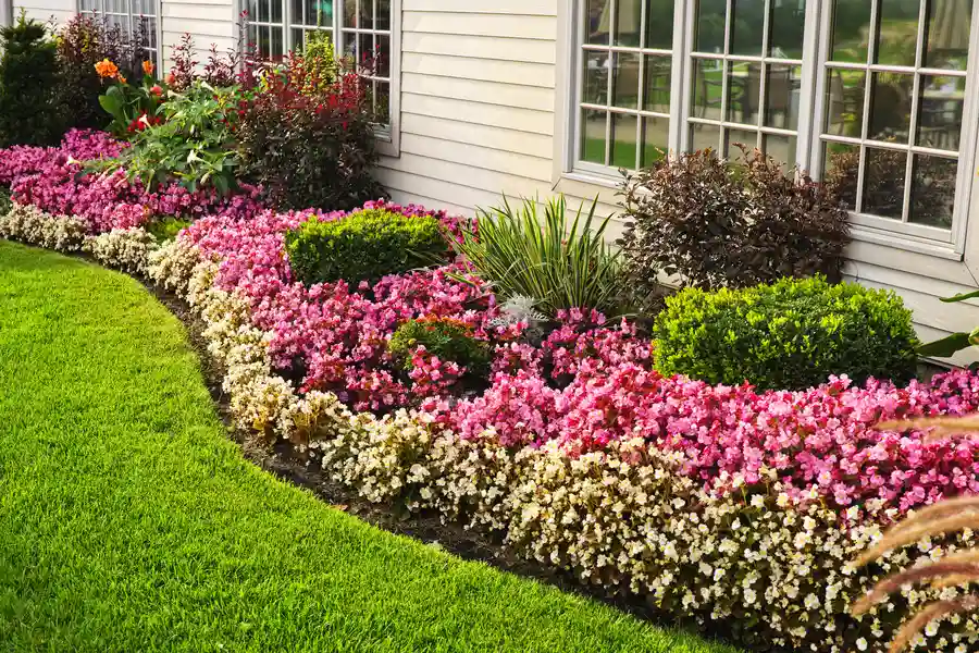 Essential Maintenance Tips For Residential Landscaping in Burlington, NC Essential Maintenance Tips For Residential Landscaping in Burlington, NC