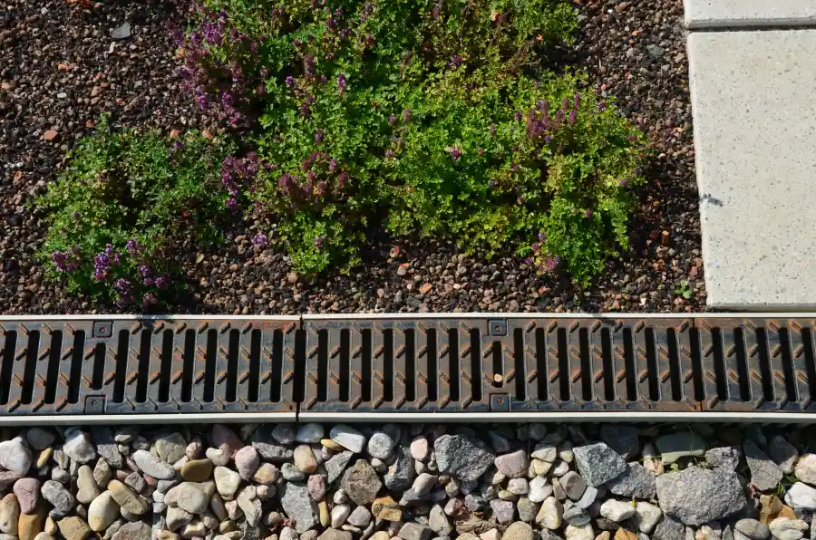 How Effective Drainage Improves Yard Function And Aesthetics in Burlington, NC How Effective Drainage Improves Yard Function And Aesthetics in Burlington, NC