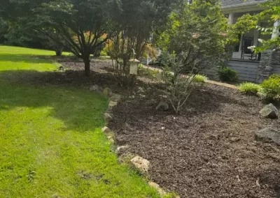 Professional Landscape Services