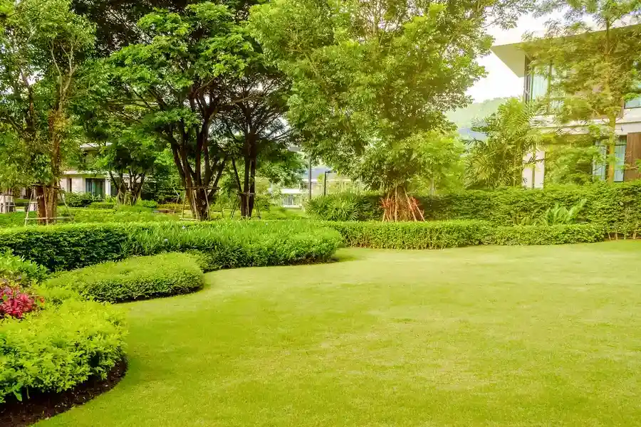 Top-rated Residential Landscaping Burlington, NC Top-rated Residential Landscaping Burlington, NC