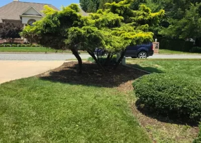 Trusted Landscaping Company